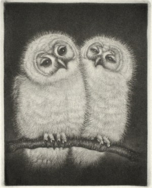Muku Muku (plump) 2008