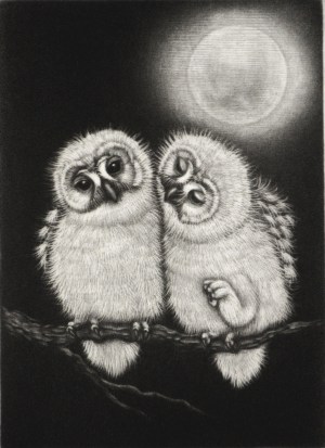 Muku Muku (plump) 2011