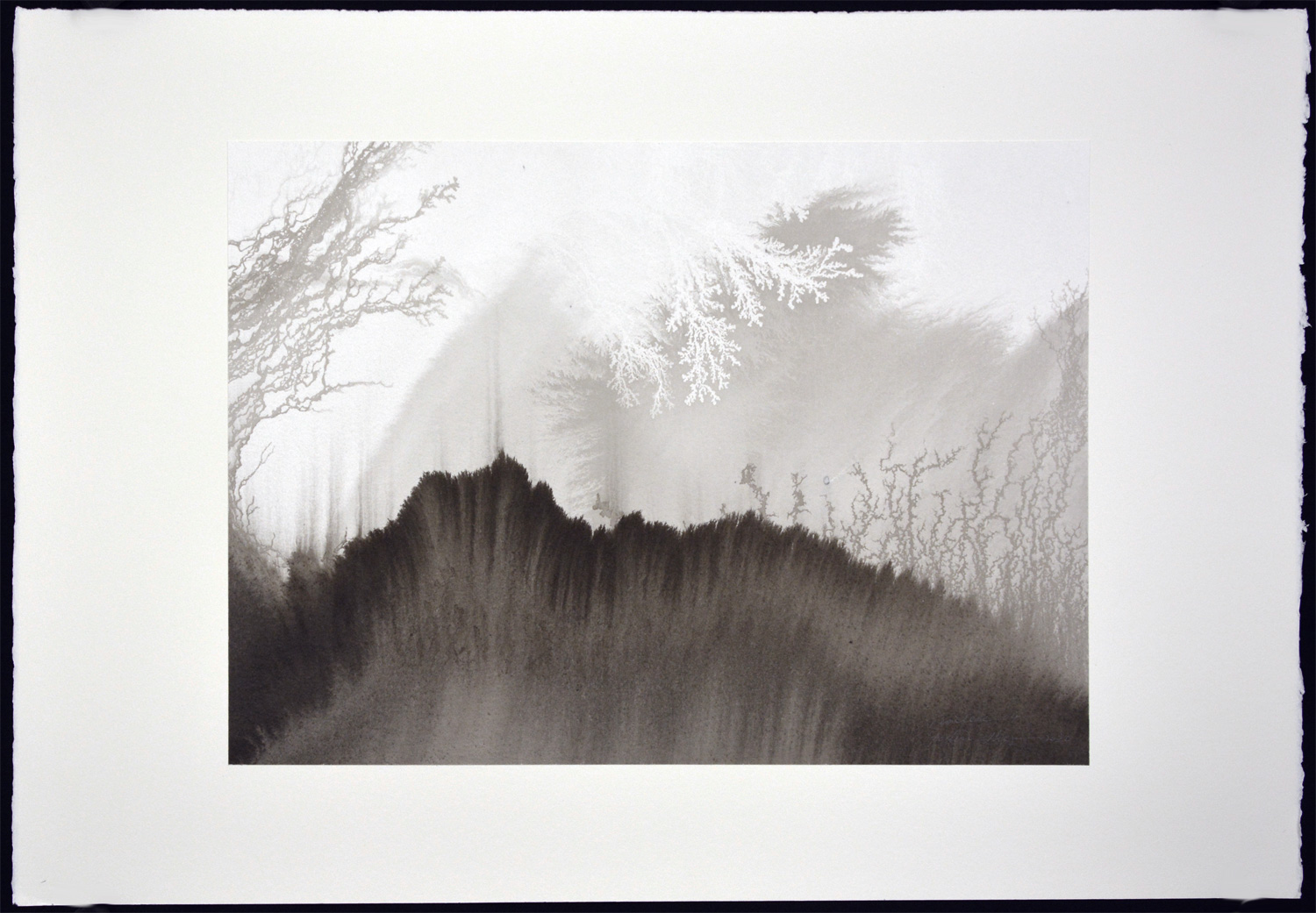 Timeless 04 - Image 2