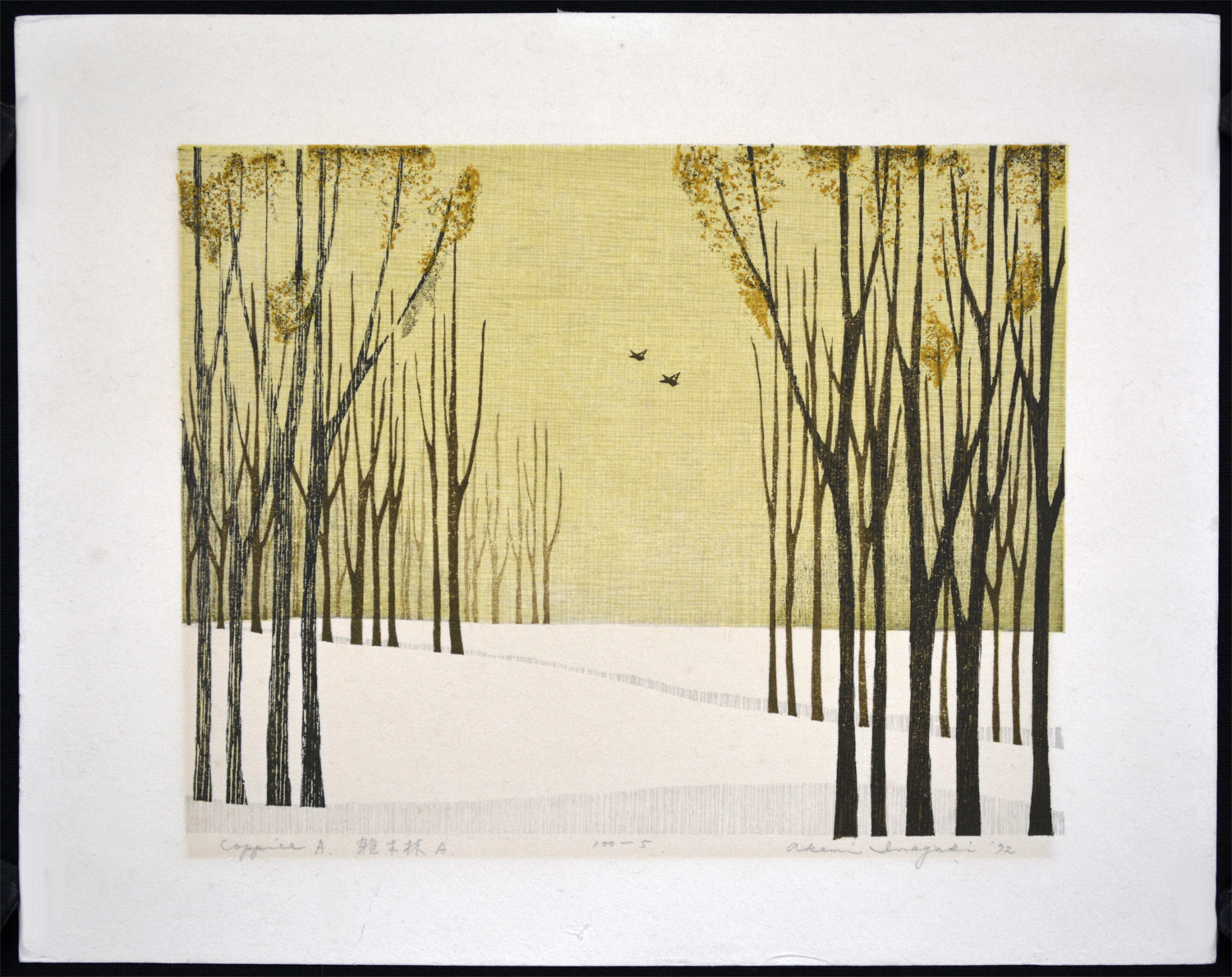 Coppice A - Image 2