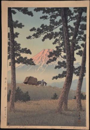 Evening at Taganoura