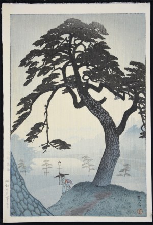 Kinokunisaka in the Rainy Season