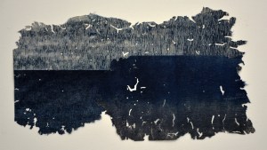 Indigo Mushikui: Reflection