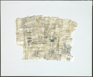 Journey through Mushikui No. 8