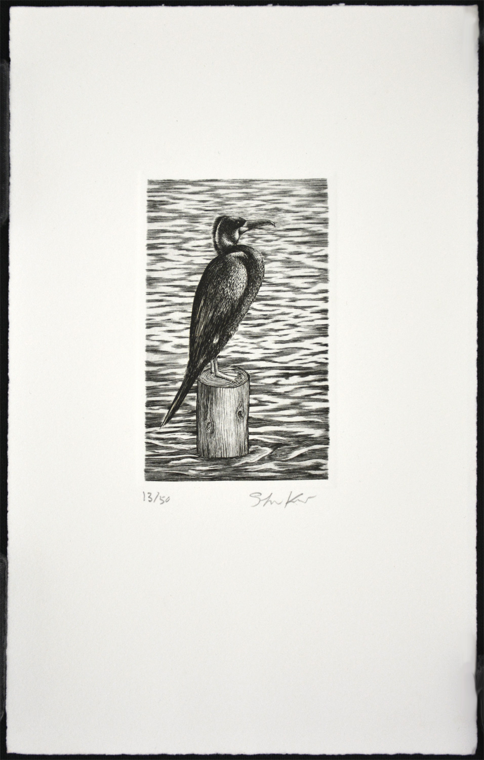 U! (Cormorant) - Image 2