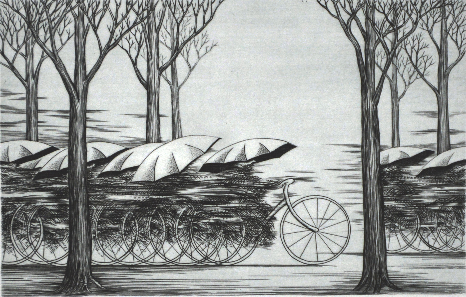 Between the Trees