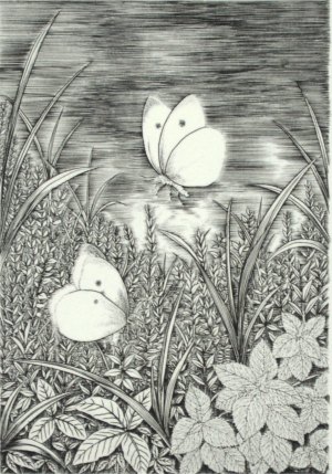 Chou Chou (butterfly)