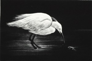Sagi (Snowy Heron)