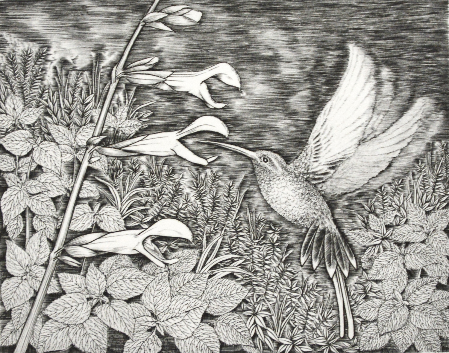 Taste of Honey