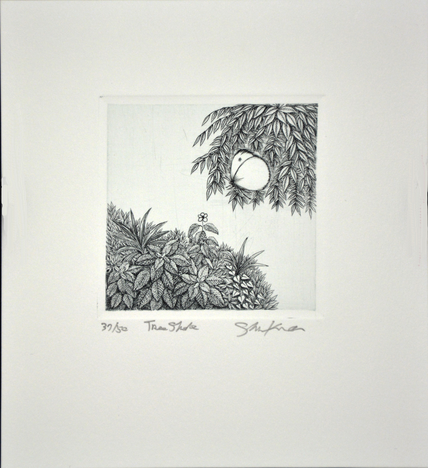 Tree Shade - Image 2