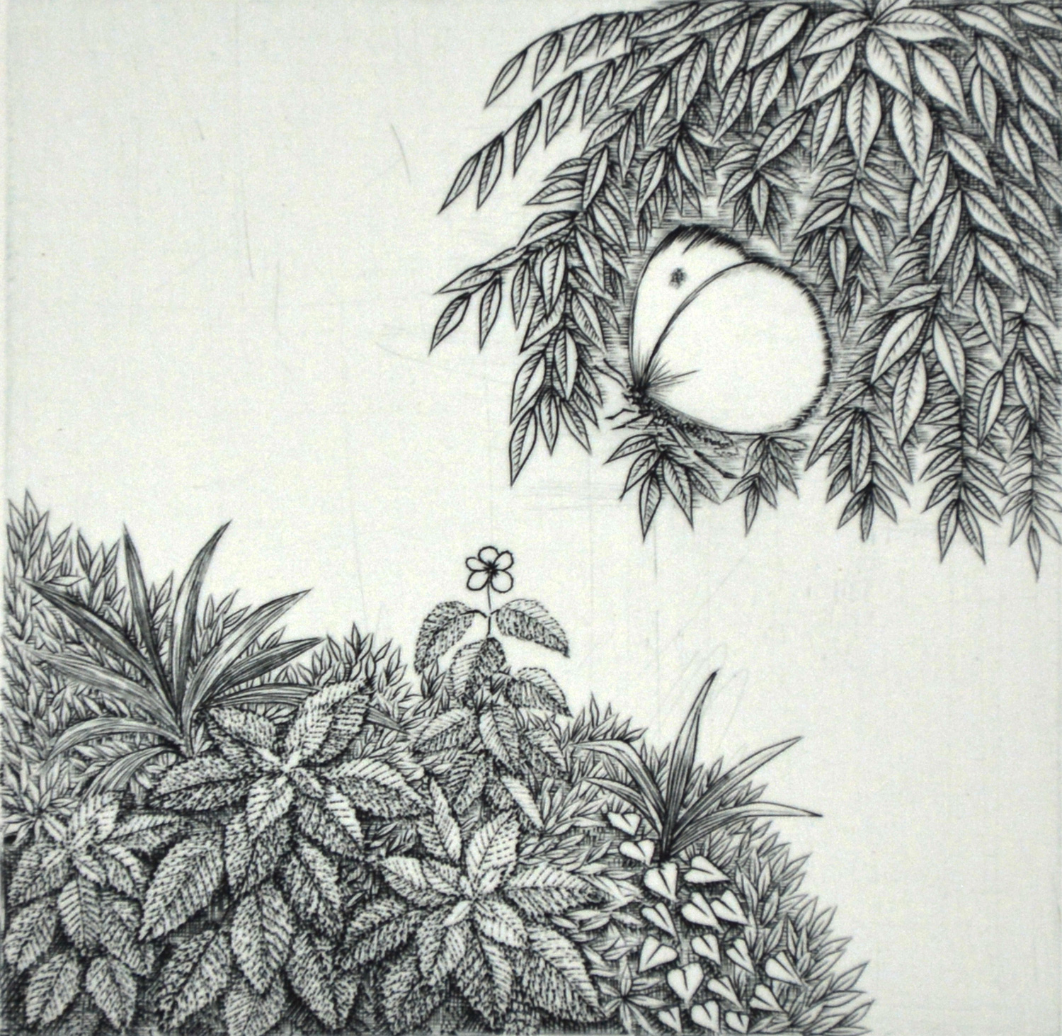Tree Shade