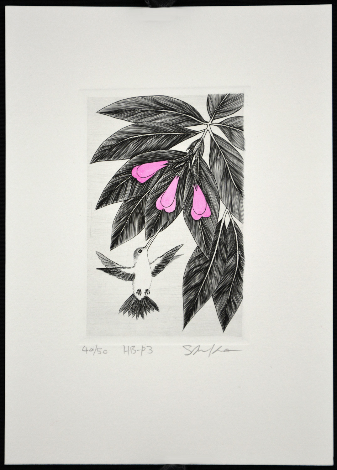 Hummingbird P3 - Image 2