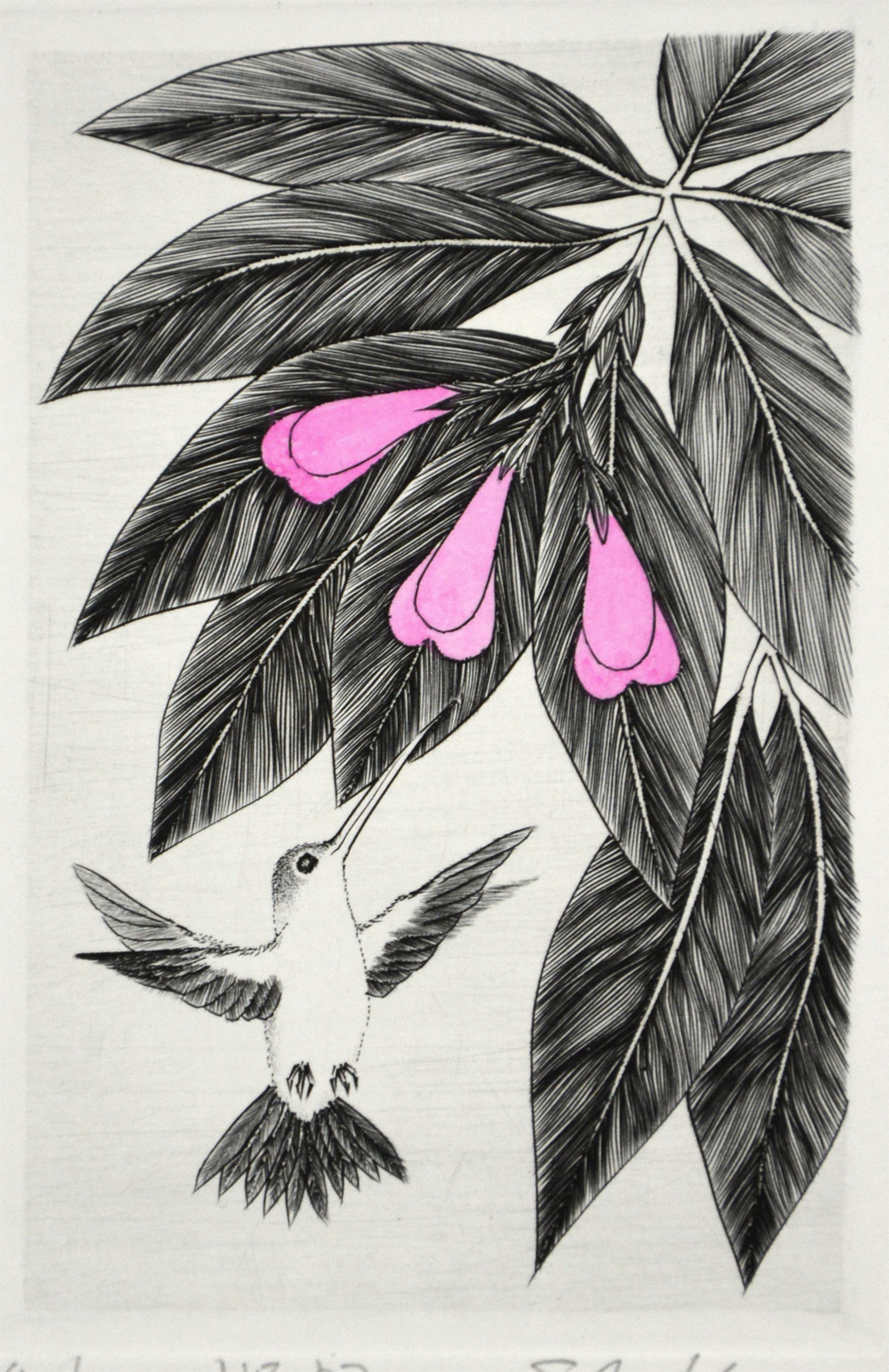 Hummingbird P3