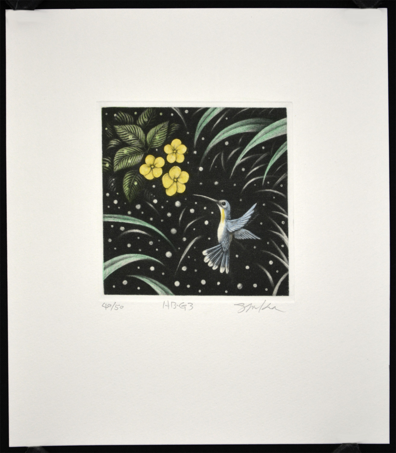 Hummingbird G3 - Image 2