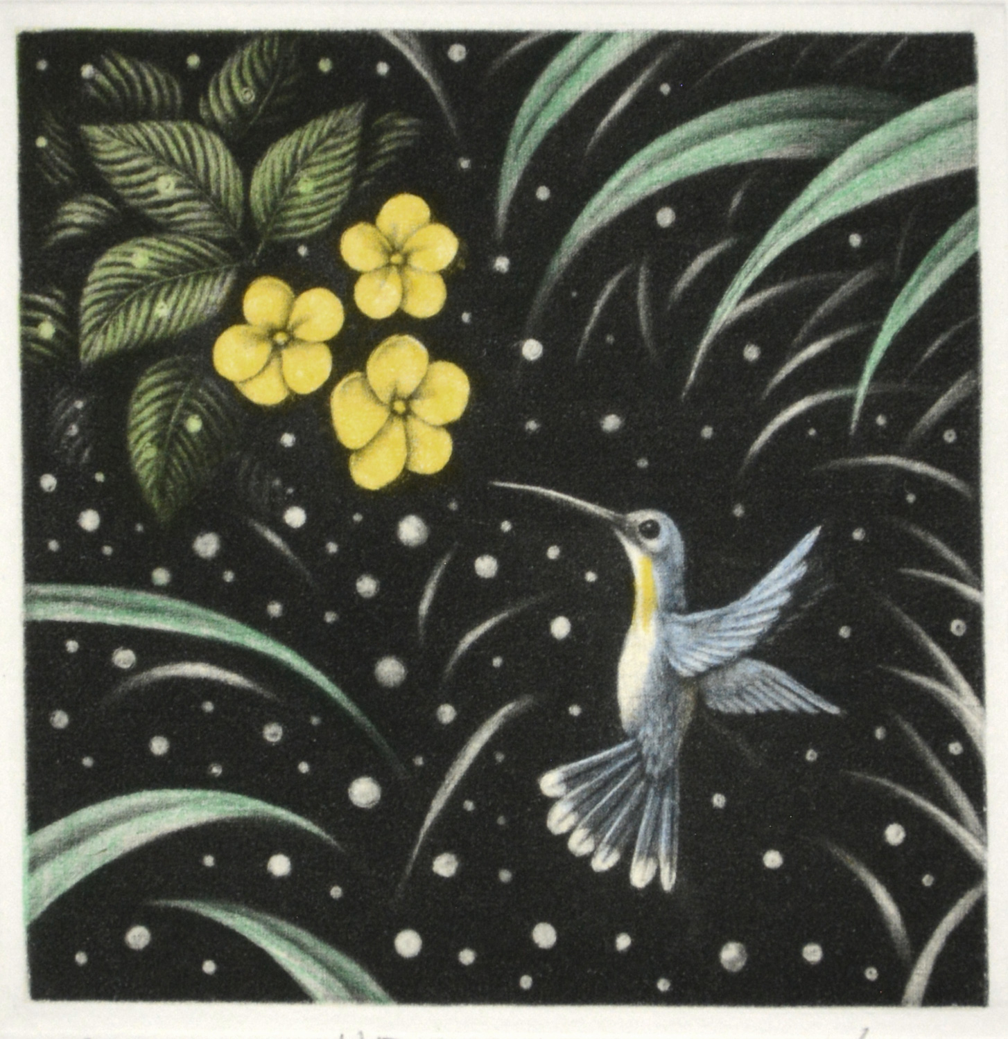 Hummingbird G3