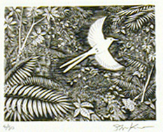 Shiroi Tori (White Bird)