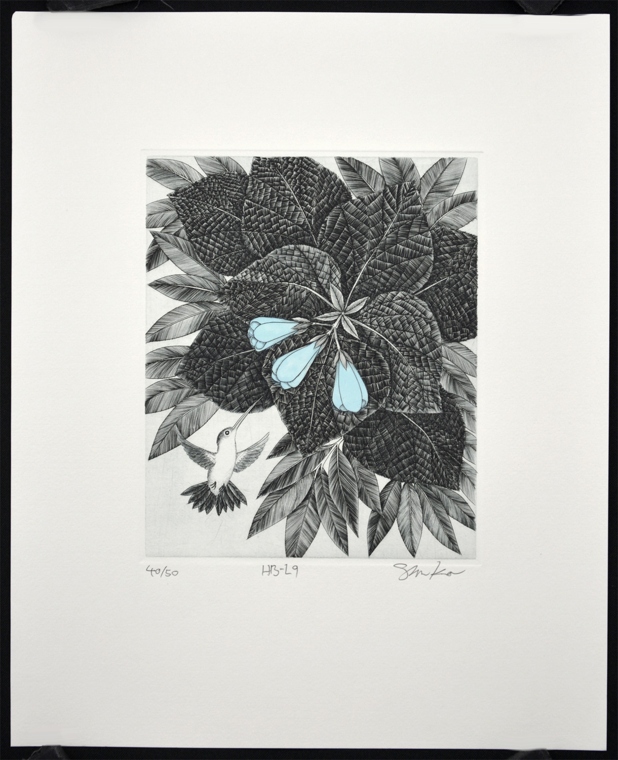 Hummingbird L9 - Image 2