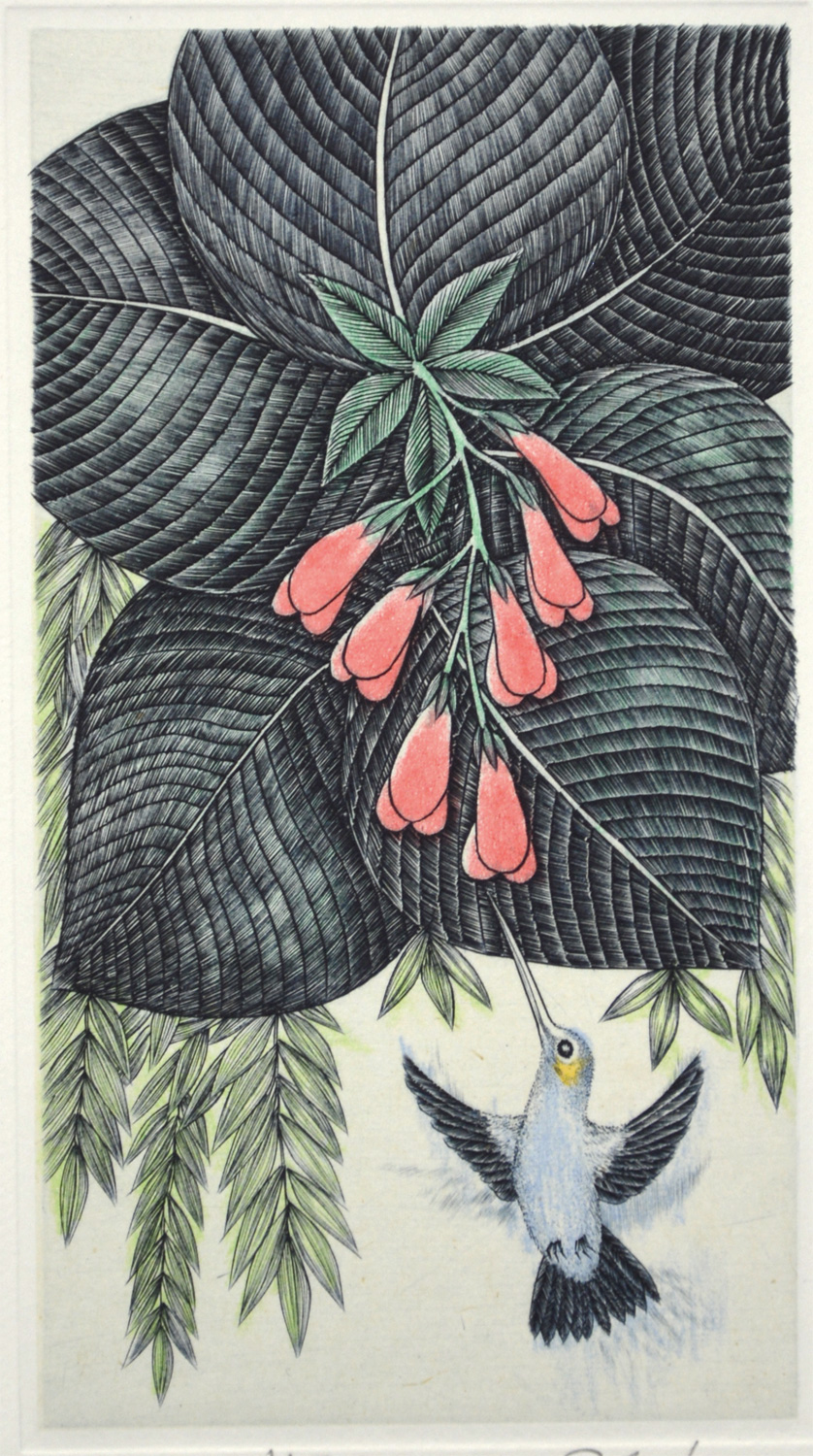 Hummingbird V4