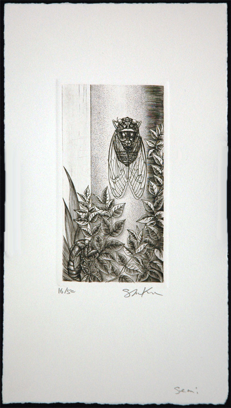 Semi (Cicada) - Image 2