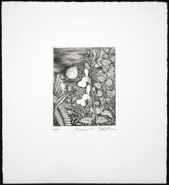 Summer 08 - Image 2