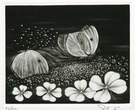 Tefu Tefu - Butterfly