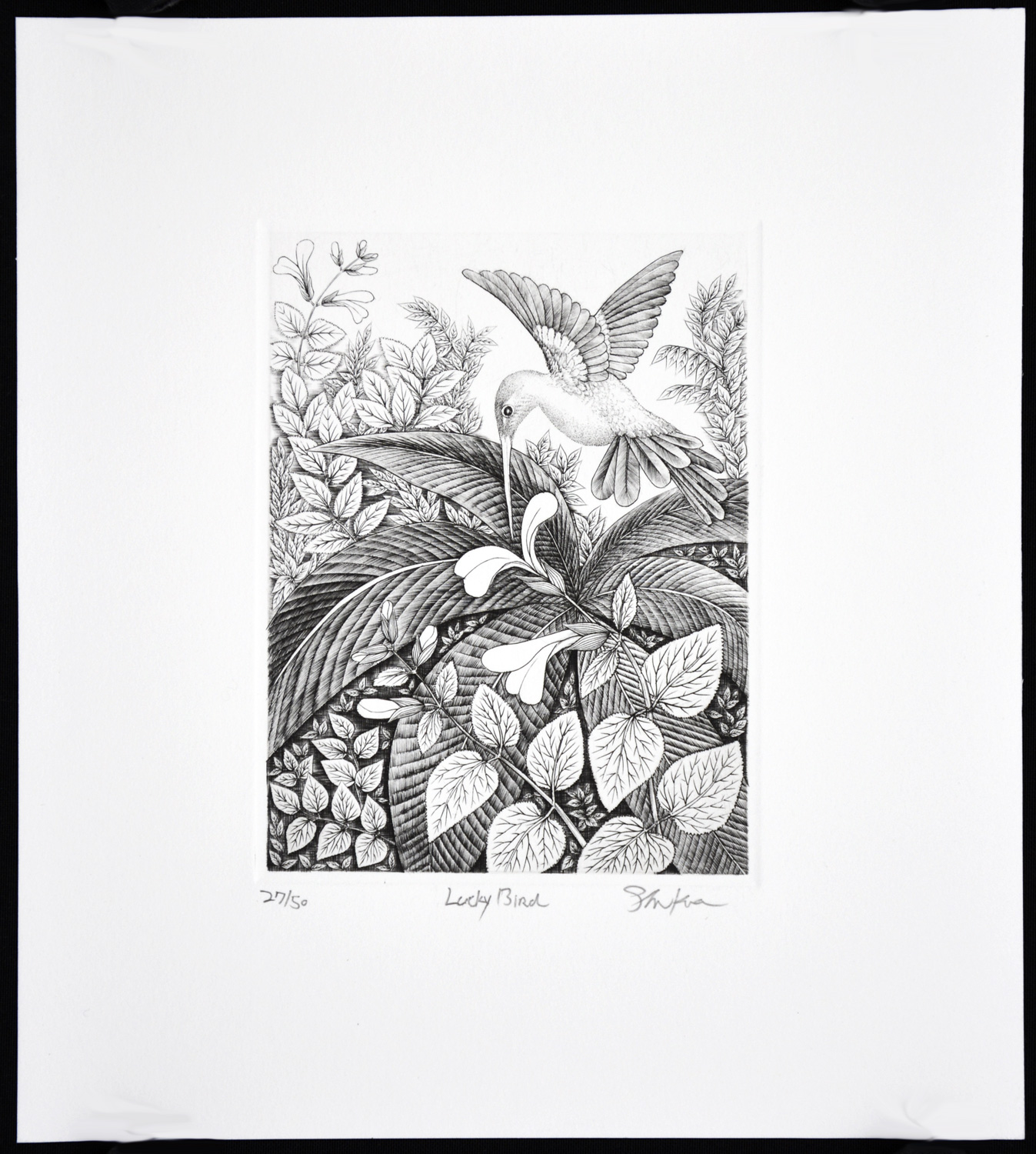 Lucky Bird - Image 2