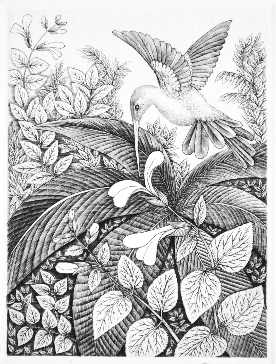 Lucky Bird