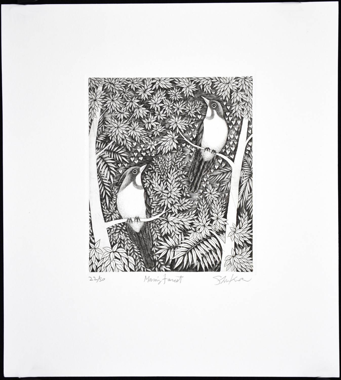 Morning Forest - Image 2
