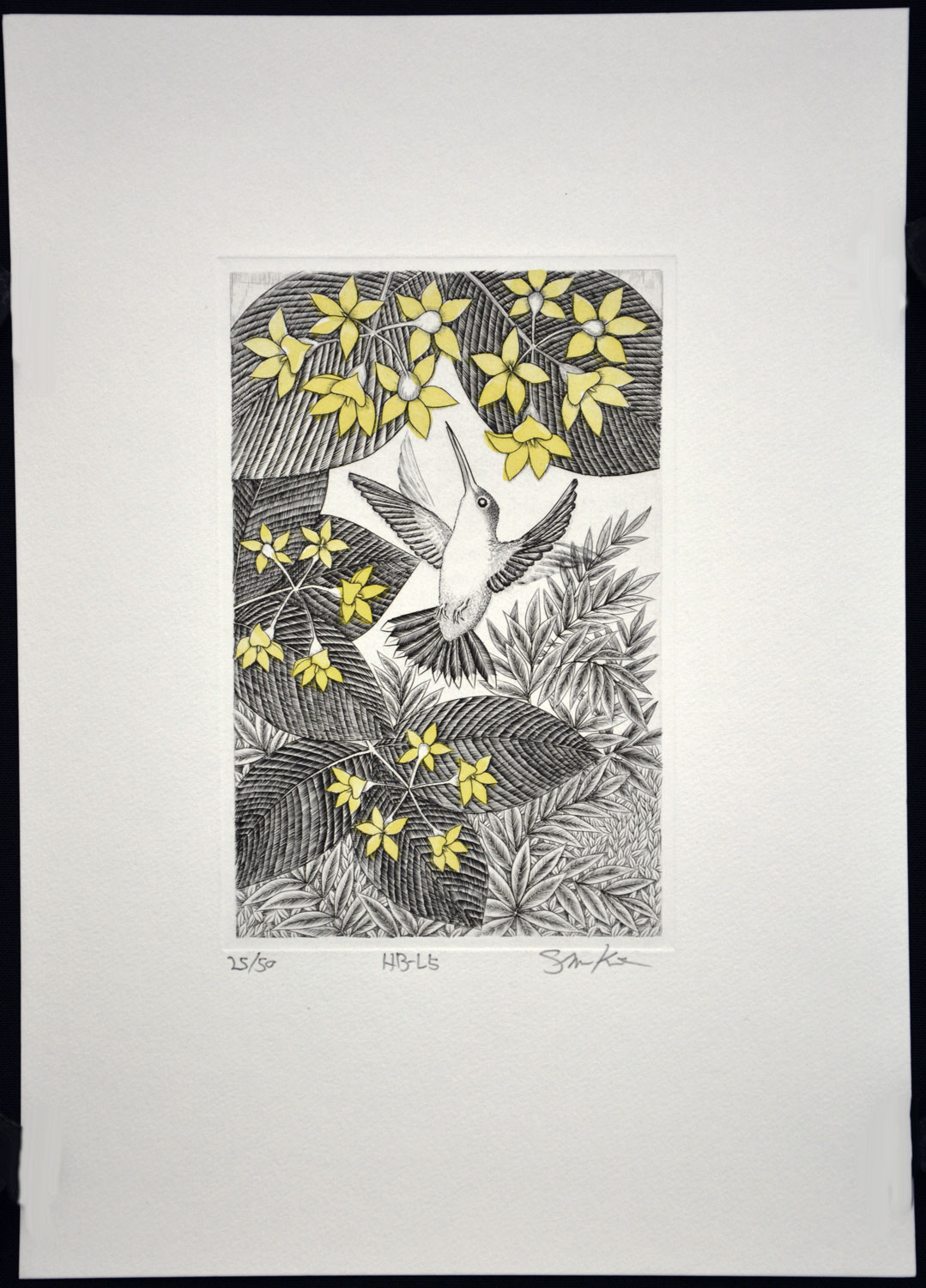 Hummingbird L5 - Image 2