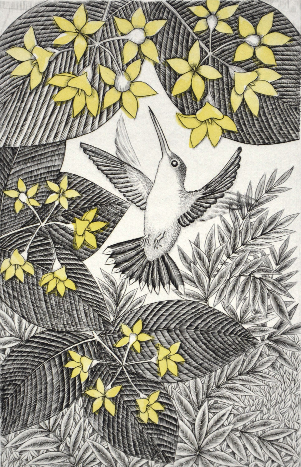 Hummingbird L5