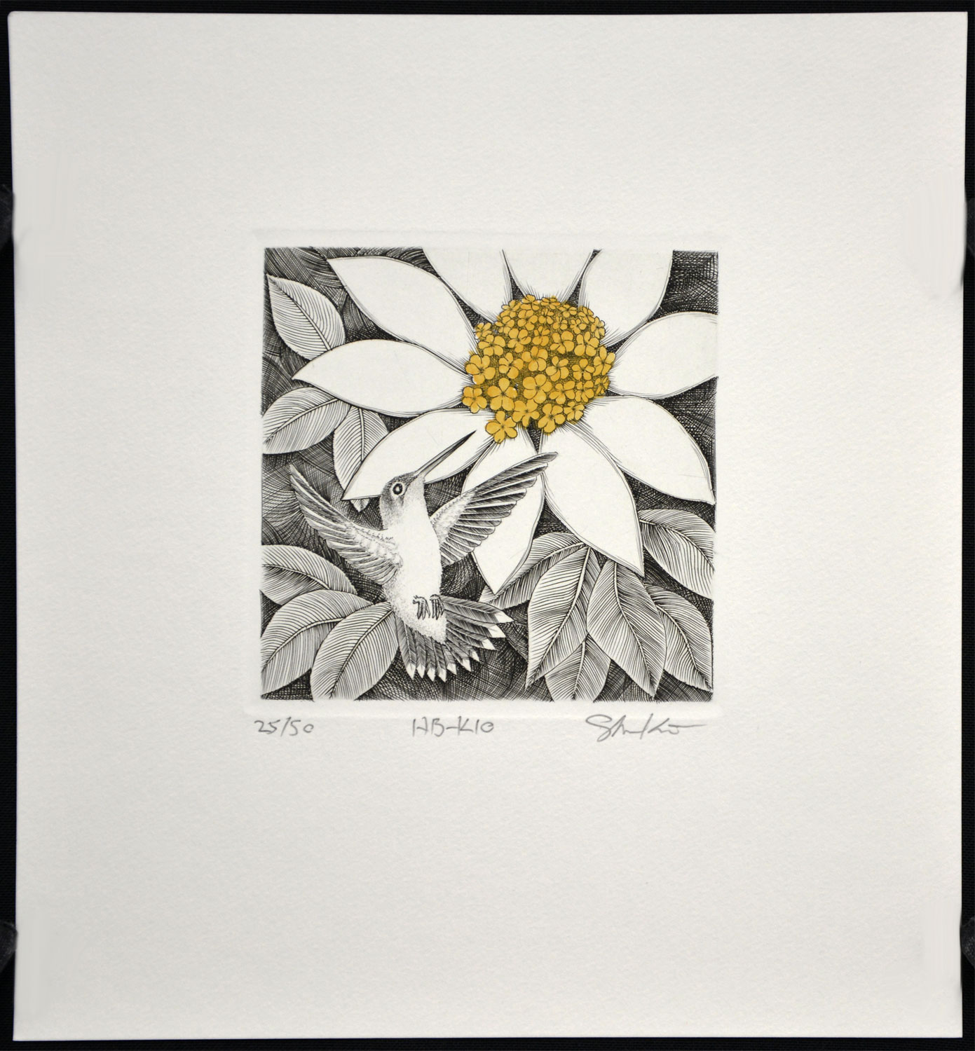 Hummingbird K10 - Image 2