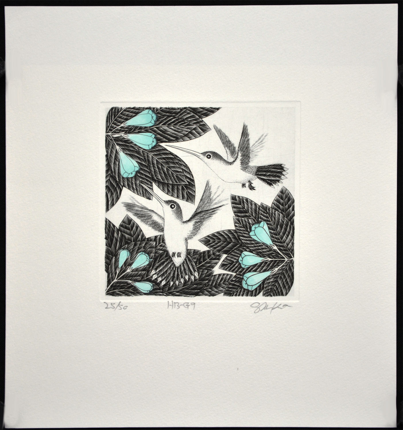 Hummingbird G9 - Image 2