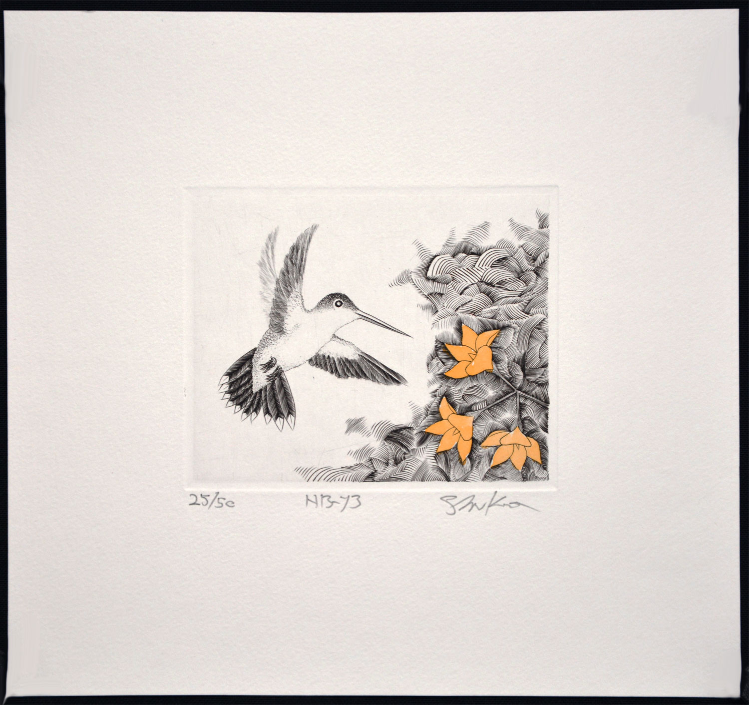 Hummingbird Y3 - Image 2
