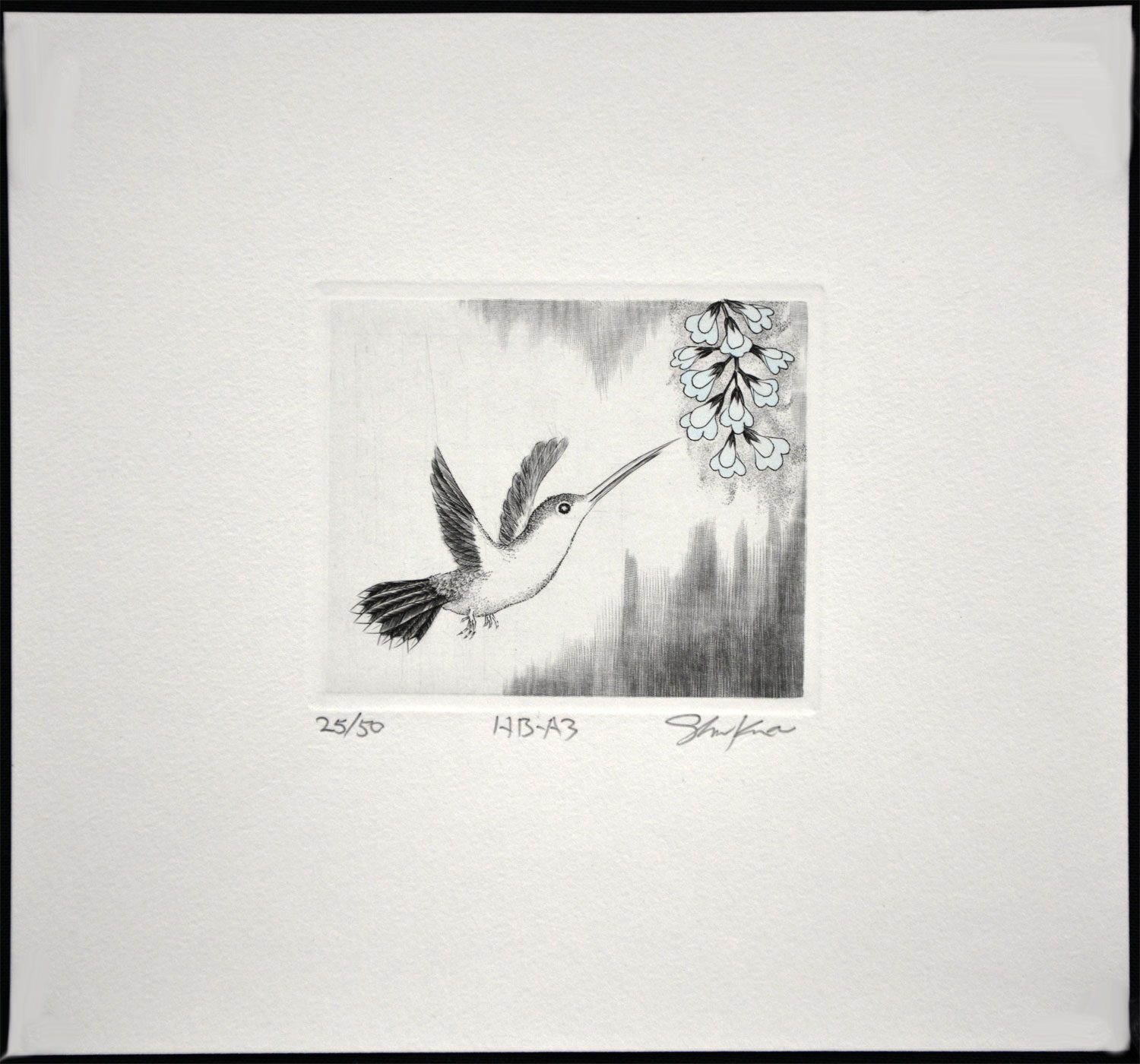 Hummingbird A3 - Image 2