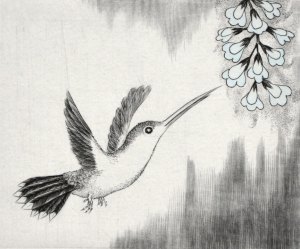 Hummingbird A3