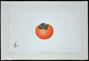 Kaki Z-2