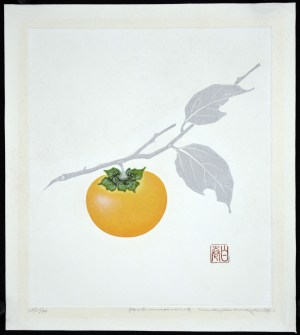Persimmon M-B