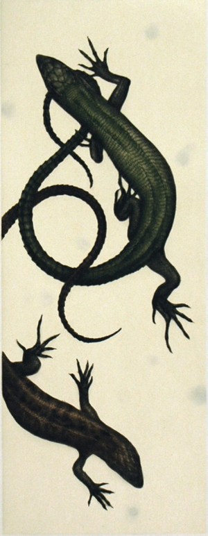 Averse (Rain Shower)