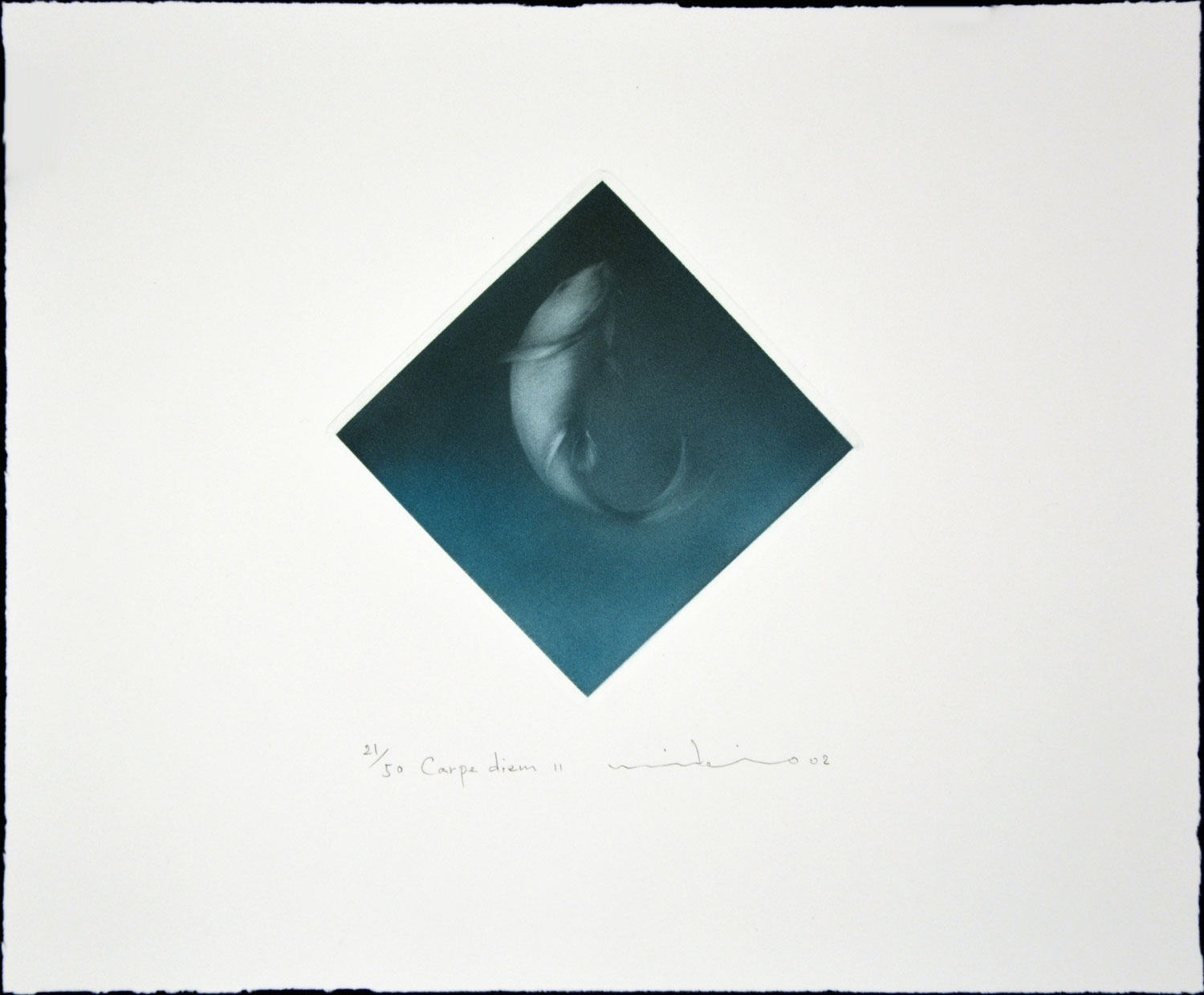 Carpe Diem II - Image 2