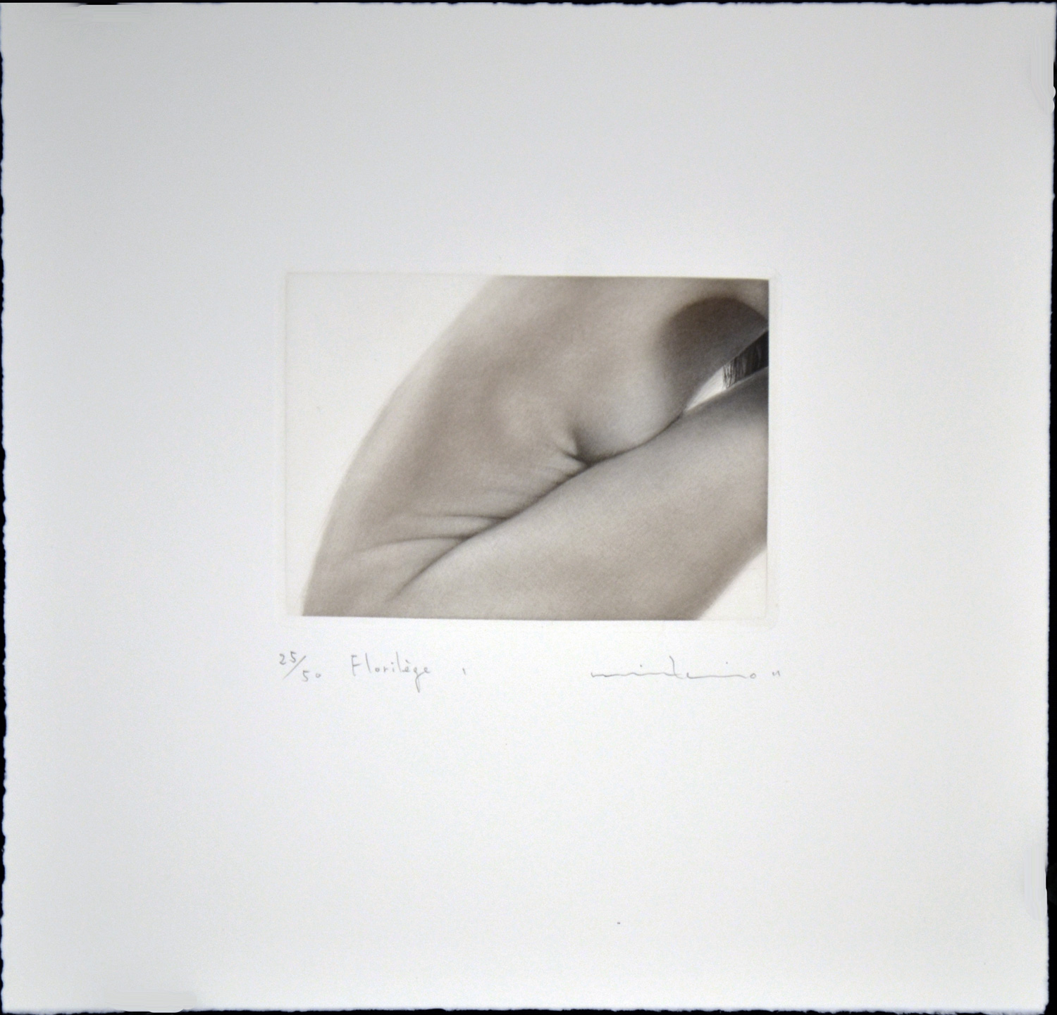 Florilege I (Anthology) - Image 2