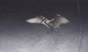 Le Revers Du Monde I