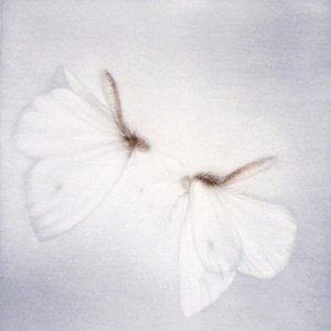 L'Ete Blanc - White Summer