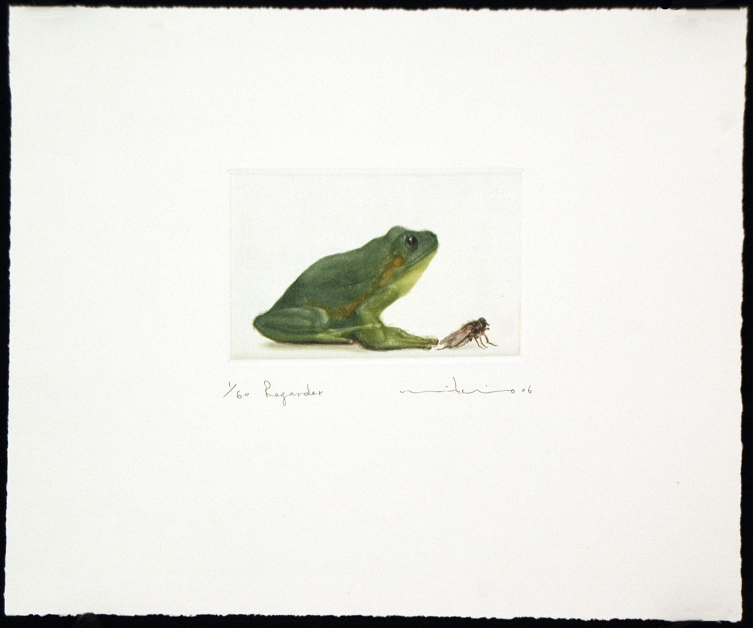 Regarder (Watch) - Image 2