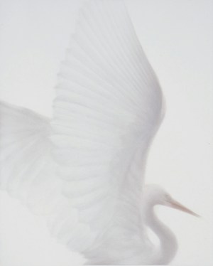 Reve Eveille (Waking Dream)