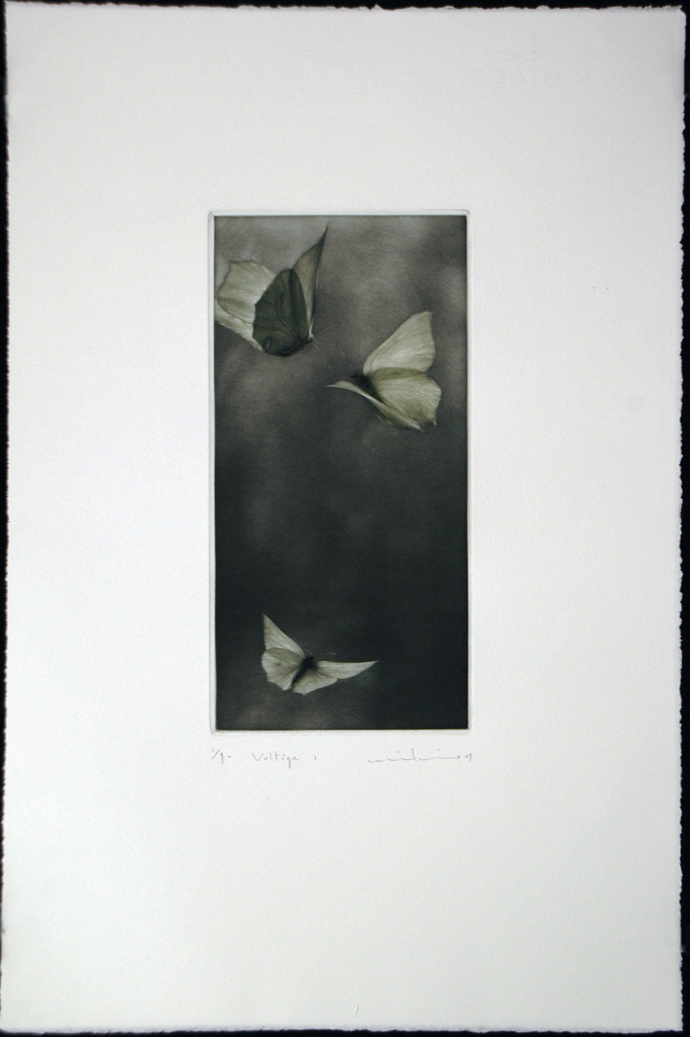 Voltige I (Acrobatics) - Image 2