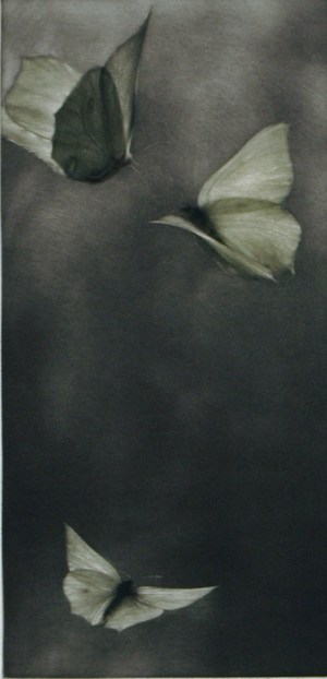 Voltige I (Acrobatics)