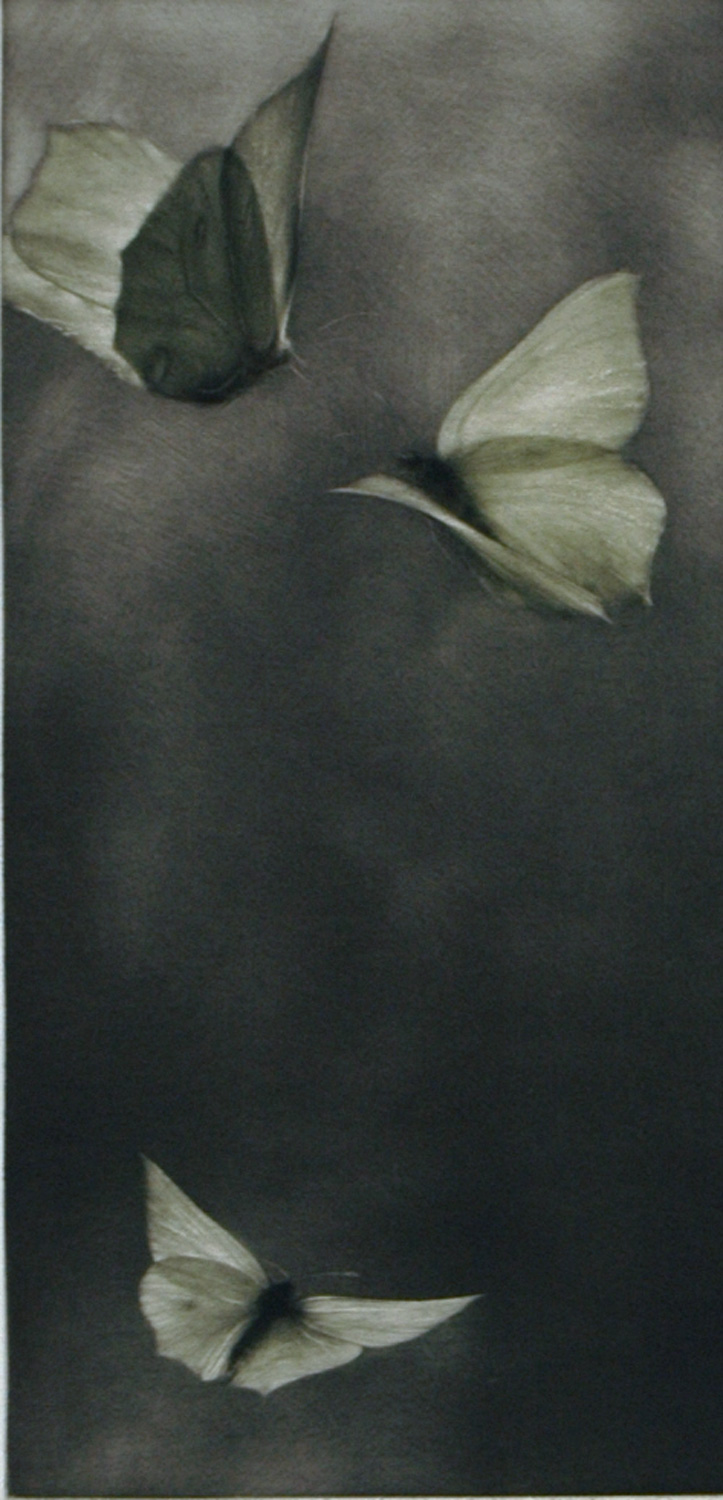 Voltige I (Acrobatics)