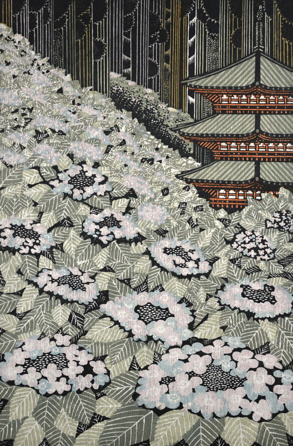 Hydrangea at Takahatafudo