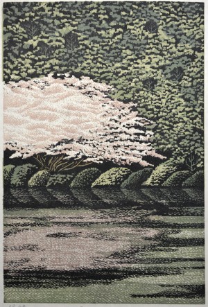 Sakura <Cherry Blossoms> Reflection