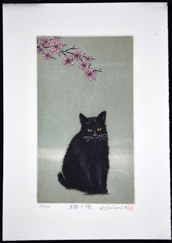 Black Cat - 15 (Cherry Blossom) - Image 2